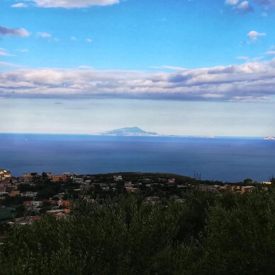 La Mandra, Cottage Tra Gli Ulivi Vico Equense Eksteriør bilde
