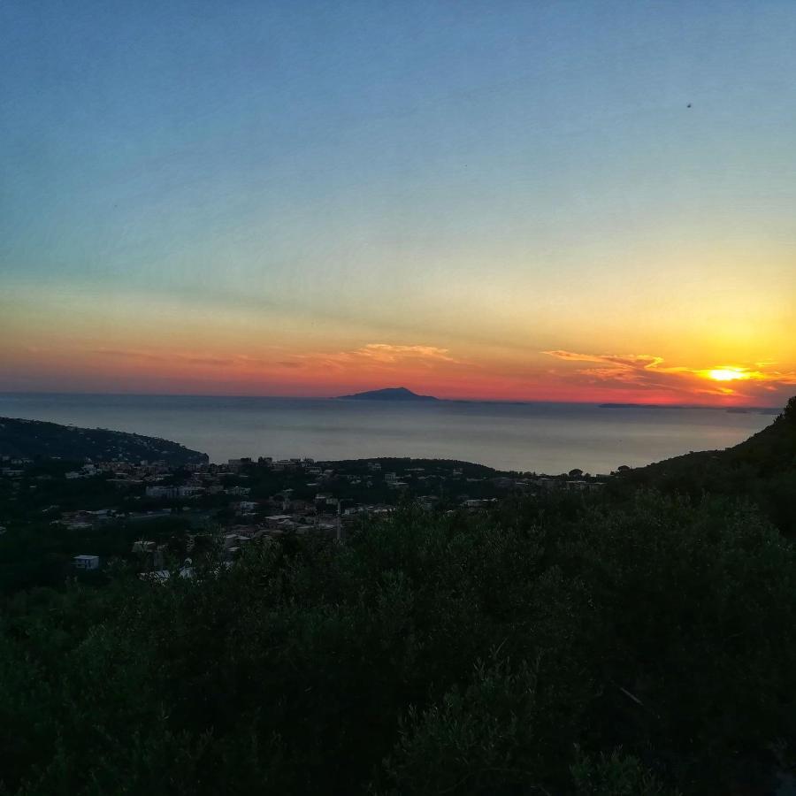 La Mandra, Cottage Tra Gli Ulivi Vico Equense Eksteriør bilde