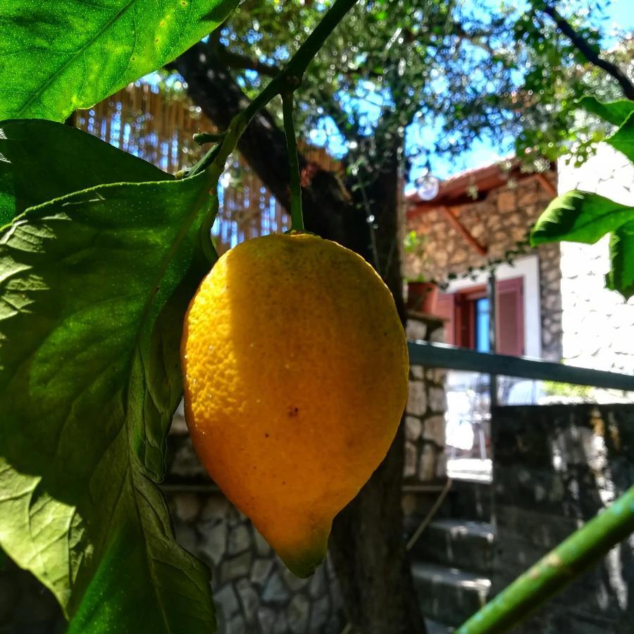 La Mandra, Cottage Tra Gli Ulivi Vico Equense Eksteriør bilde